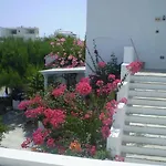 Kolona